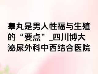 睾丸是男人性福与生殖的“要点”_四川博大泌尿外科中西结合医院